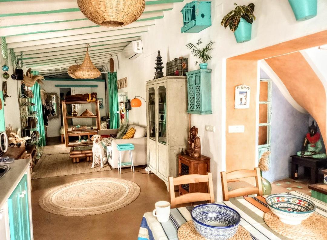 La Plaza De Conil Holiday home